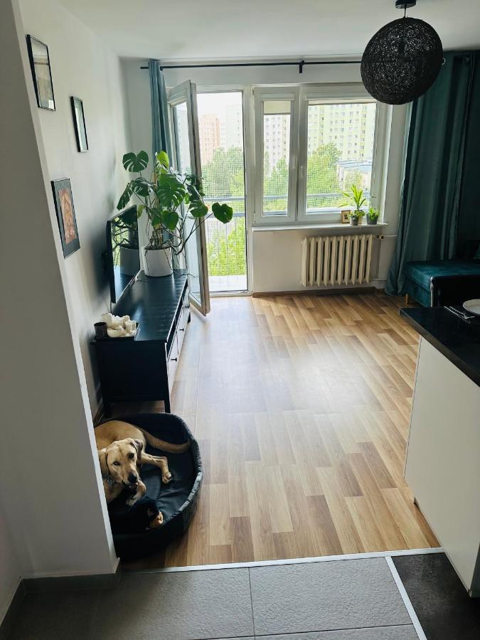 Pet'S House Warsaw Apartment Luaran gambar